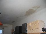 217_1718.JPG